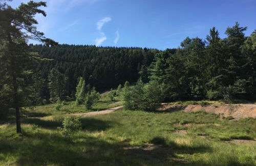 Ferienhaus "Am Stauwerk" - Foto 20