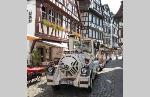 Coeur Alsace - Foto 47