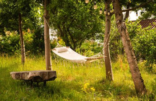 Schody do wody Domek z linią brzegową Kaszuby sauna goraca balia - Foto 30