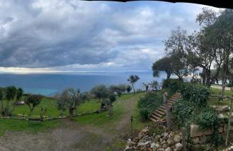 Bouganville in Villa Greco - Foto 66