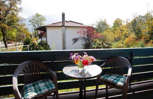 Am Traunufer Klaus Plenk inkl. Chiemgaukarte - Foto 10