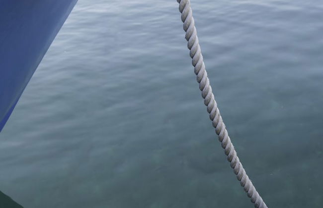 Résidence la Grande Voile - Foto 66