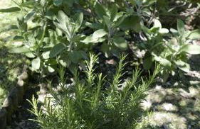 Quater Apartments - Tremezzina - Foto 47