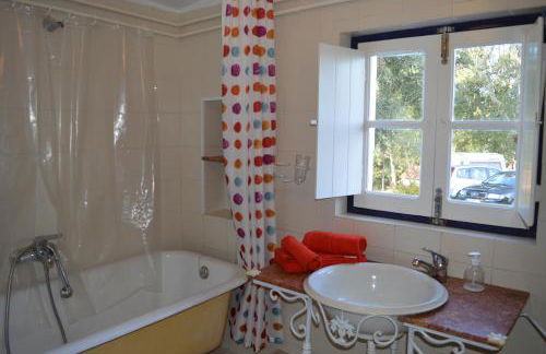 Monte do Rei Santo - Foto 17