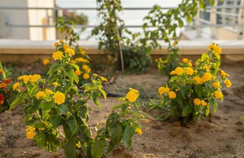 Villa Acquamarina, Family apartments with pool - 300 meters from the beach - Foto 33