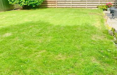 Romantic log-burner Cornish Cottage private garden dogs welcome - Photo 20