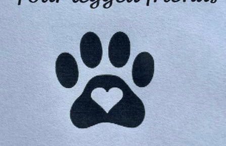 The Old Smithy, beautifully restored cottage in Carreghofa, near Llanymynech - Photo 19