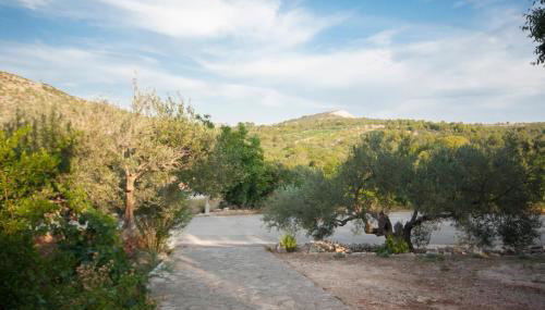 Apartman Ana - Foto 5