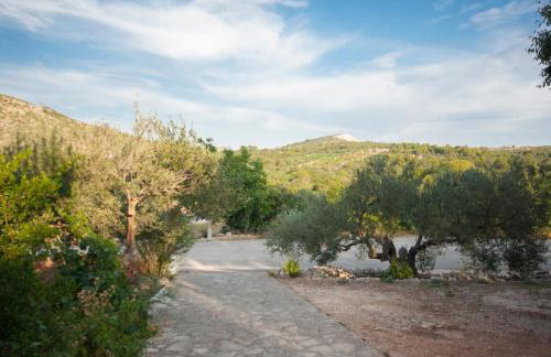 Apartman Ana - Foto 5