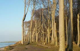 Ferienwohnungostseeblick - Foto 66