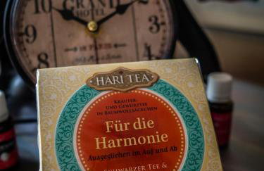 Villa Dragona Dufti-Kuss Gästehaus im Herzen von Rees - Photo 17