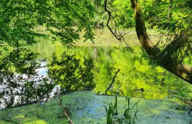 Ferienhäuser Oberdorla - Foto 73