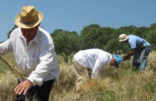 Aia di Lazzaro Agriturismo - Foto 39