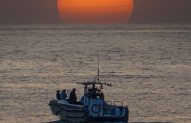"2 baies, matin, après-midi, coucher de soleil avec un verre de cava - Photo 5