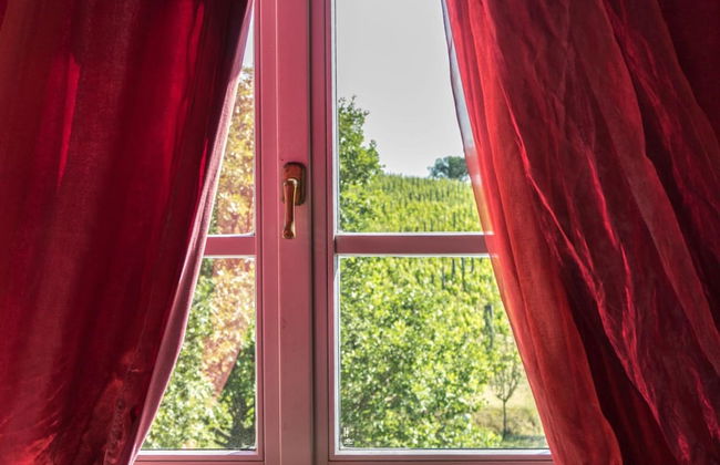 Bio Agriturismo Poggio Aione - Foto 19