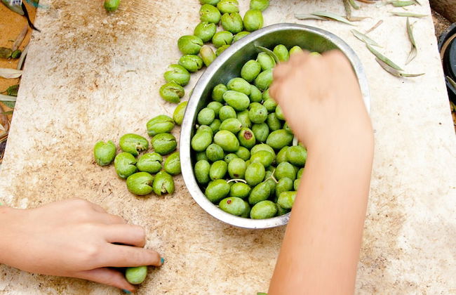 Agriturismo Al Lago Verde - Foto 16