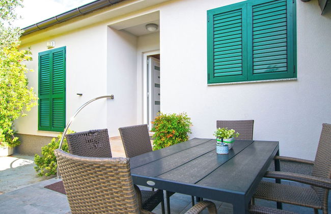 House Pansy - Foto 29