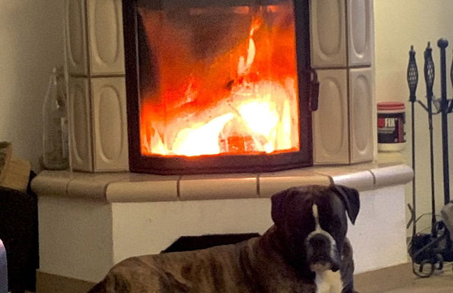 Ferienhaus Oppach - Foto 19