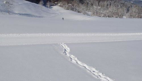 Ferienwohnungen Familie Brunner, Kreuth-Reitrain - Foto 4