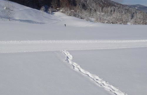 Ferienwohnungen Familie Brunner, Kreuth-Reitrain - Foto 4
