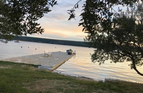 Apartmani BAU BAB - Foto 8