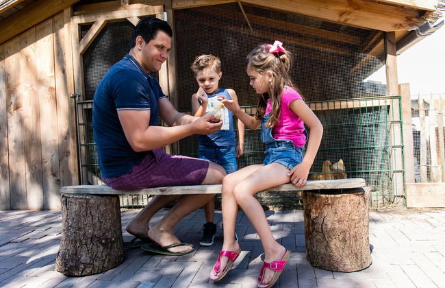 Modern Eco-villa Near the Veluwemeer - Photo 35