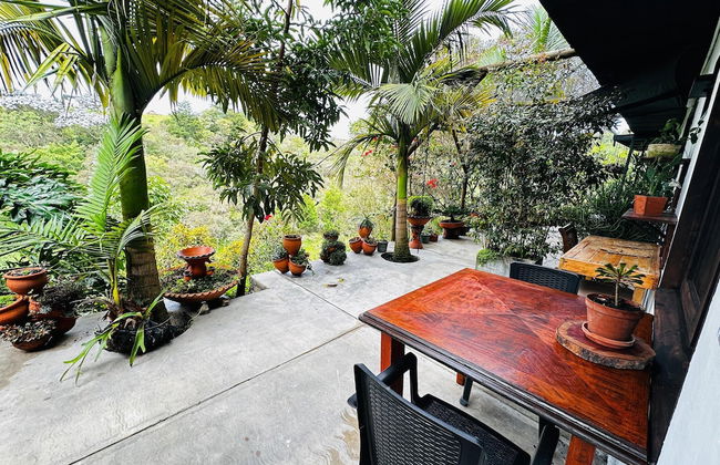 ecohotel zona 7 - Photo 50