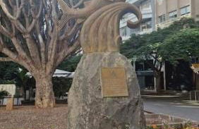 Enjoy Carnanal with extreme confort 4p - Foto 64