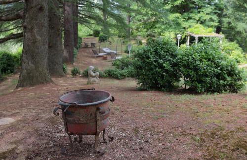 LA BARCA NEL FRUTTETO Natura e relax in collina - Foto 37