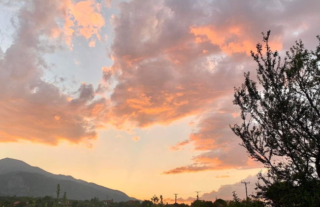 Olives and Vines all Season Villa - Photo 47
