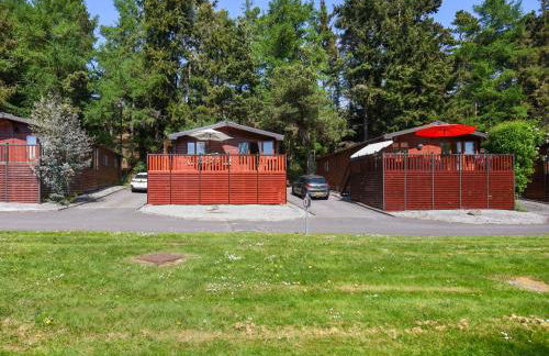 Waterfall Lodge - Photo 22