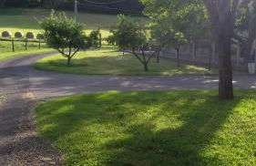 La Nappie - Photo 14