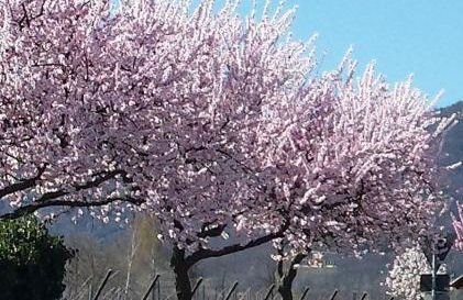 Ferienwohnung Luitpold 21 - Foto 6