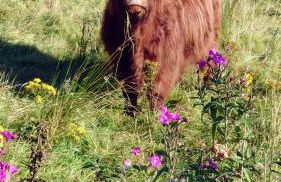 Uig Chalets Idrigill Hill Chalet - Foto 26