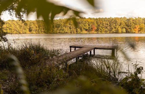 Jemioła Chaty Niedźwiady Małe - Foto 24