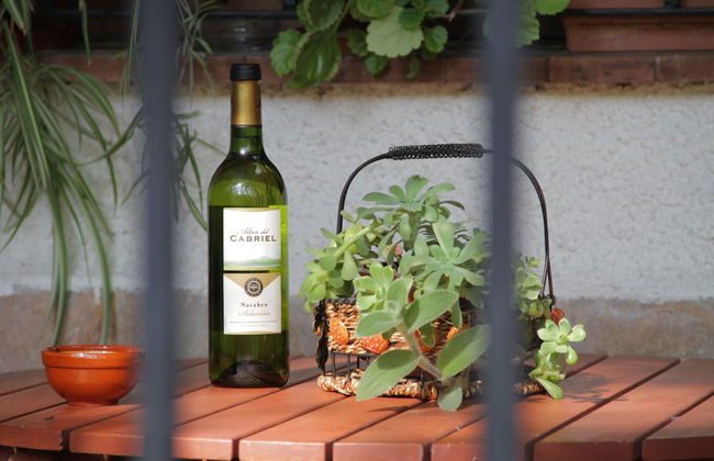 Casas Rurales Maribel Alcala - Foto 14