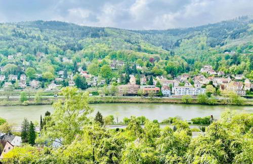 Penthouse Overlooking the Neckar - Foto 24