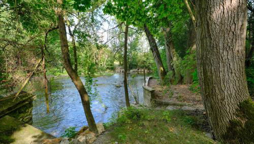 Fermette de Rochopt, 15 pers Nature & Rivière - proche Paris - Foto 4, Garden