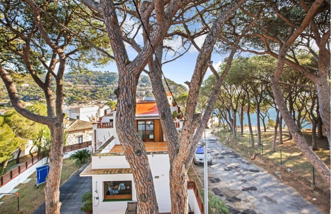 Ancora 10 in Llafranc - Foto 12