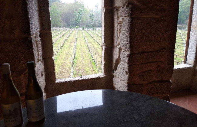 Visite de la cave Corisca - Photo 7