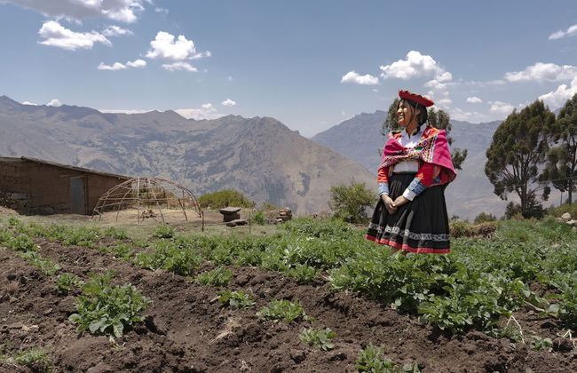 Andean Glamping - Foto 54
