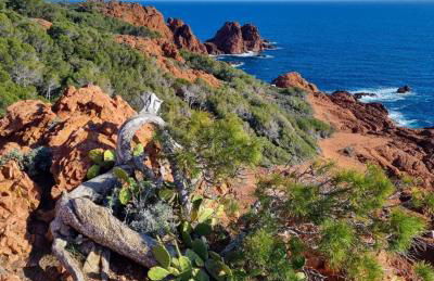 Appartement résidence Club -Rez-de-jardin clôturé -piscines dont une Chauffée du 04 avril au 02 novembre - Foto 44