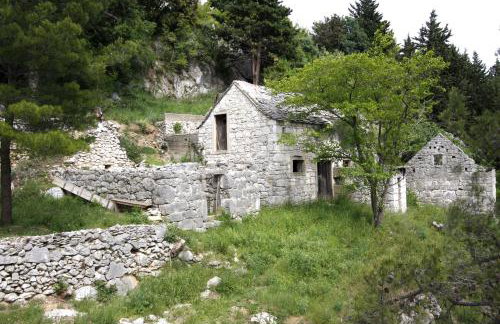 Apartments Ivančić - Photo 14