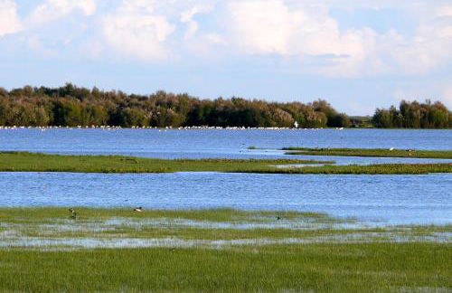 Apartamentos Peregrinos - Foto 22