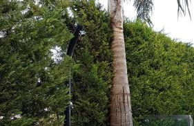 Albufeira Marina Villa 27 - Foto 61