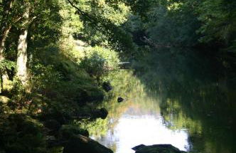 Talehay Cottages - Foto 27