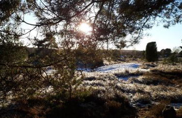 Appartement 105 - Foto 20