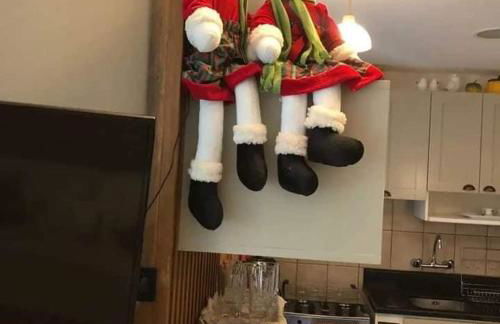 Hortênsiailedefrance - Foto 25