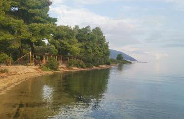 Villa Alex - Foto 76