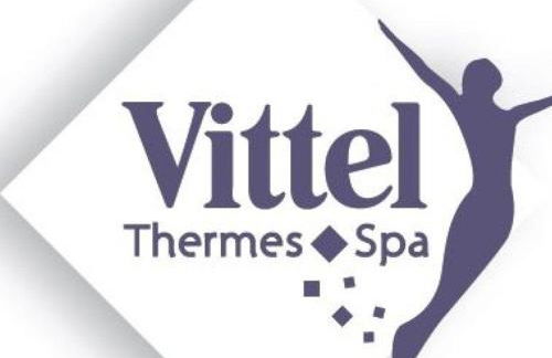 Appartement lumineux 4* pour 2 à Vittel, proche thermes, WiFi, parking gratuit - FR-1-589-745 - Foto 19
